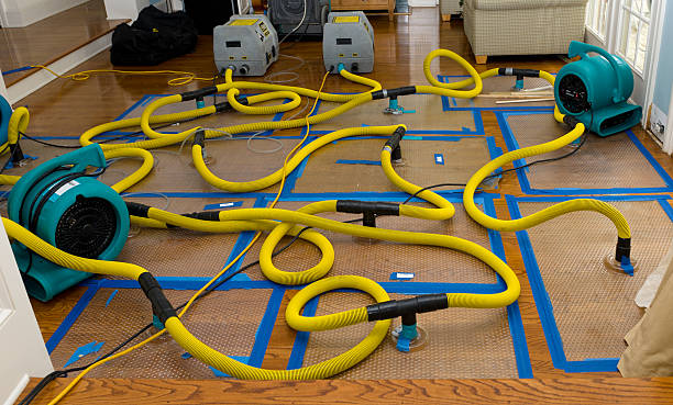 Professional Structural Drying And Dehumidification technician working in Belding, MI